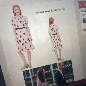 Kate Spade Rose Chiffon Flutter Dress